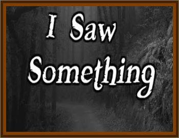 I Saw...Something