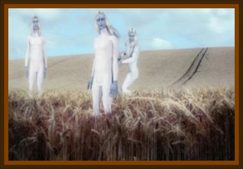Policeman Reported Tall White Aliens Inspecting Crop Circles