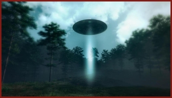 Object Was Hovering Motionless Above Trees